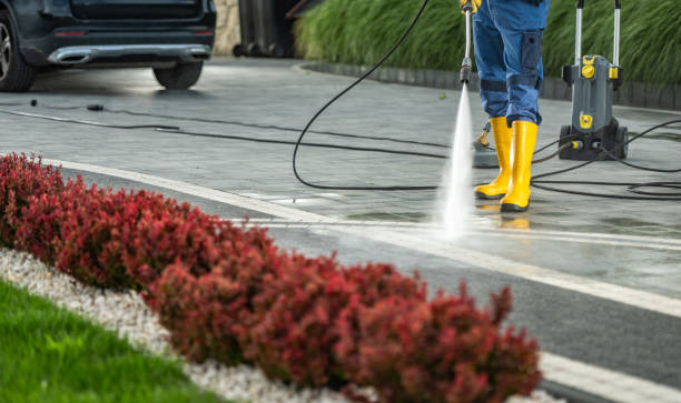 Best Building Exterior Washing  in Collinsville, AL