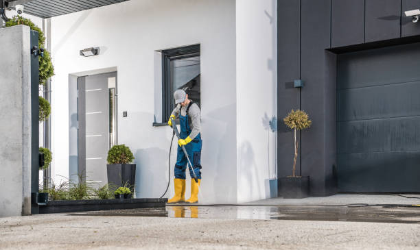 Animal Enclosure Cleaning in Collinsville, AL